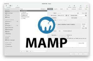 Comment créer un site en local et le rendre accessible en ligne avec Mamp Pro